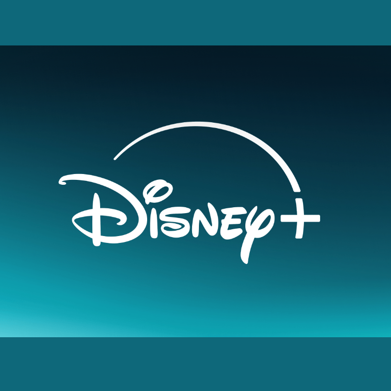 DISNEY PLUS + HULU